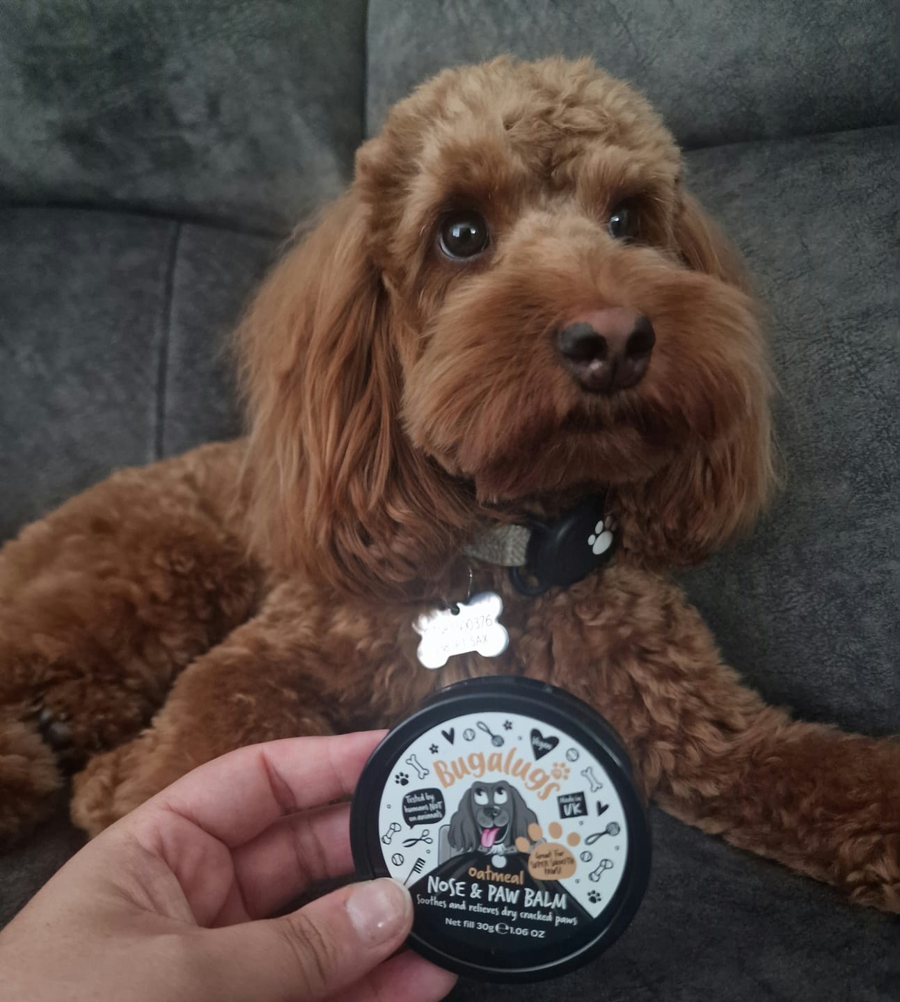 Customer photo review of Oatmeal Nose & Paw Balm Pot for Dogs
