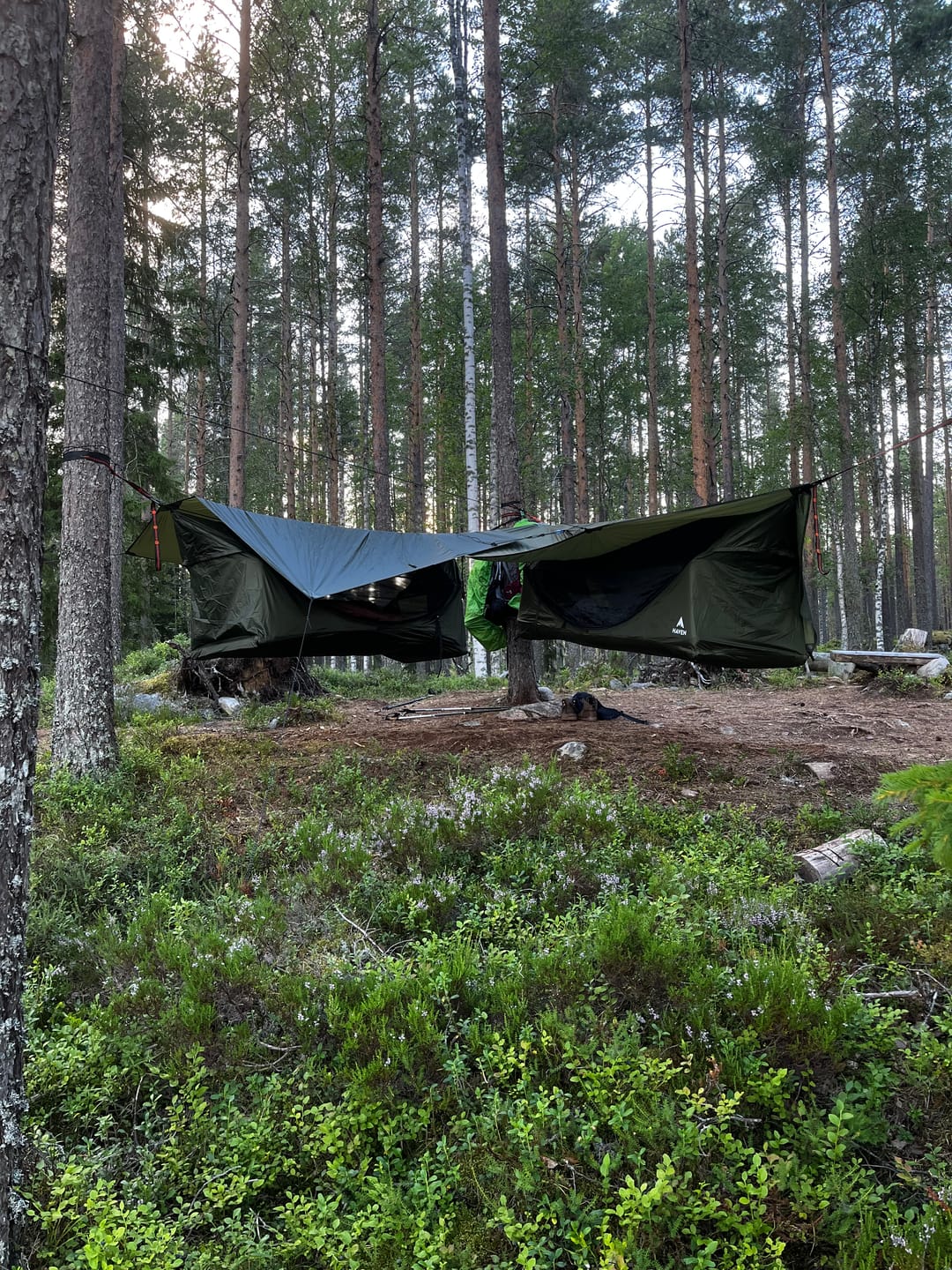 Customer photo review of Haven Tent