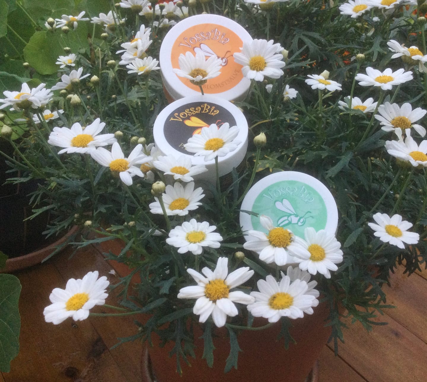 Customer photo review of Solkrem