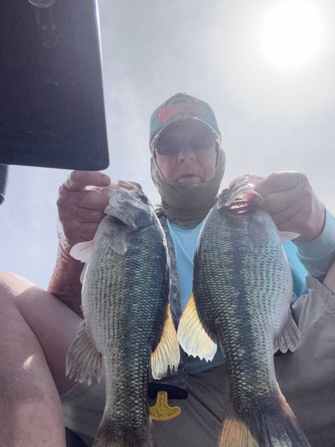 Customer photo review of 200% Sensitive Tungsten Ball Jig Heads Damiki Rig Jig Heads | No Chip Black | 5 Pack