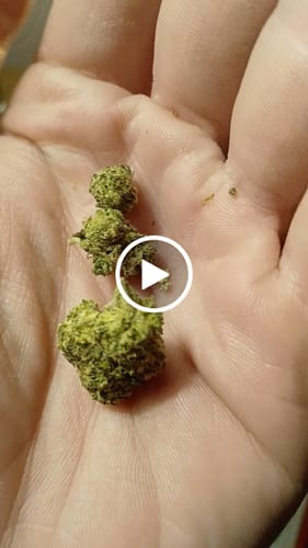 Customer video review of THCa Exotic Mediums & Smalls
