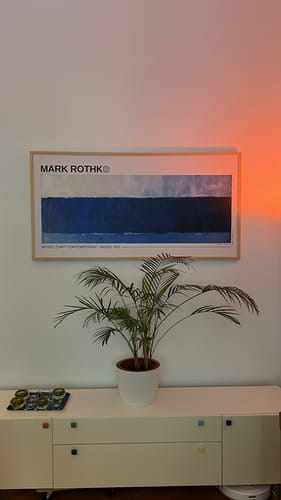 Customer photo review of Mark Rothko Azzurri e Blu