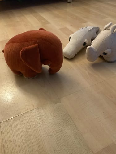 Customer photo review of The Mini Elephant