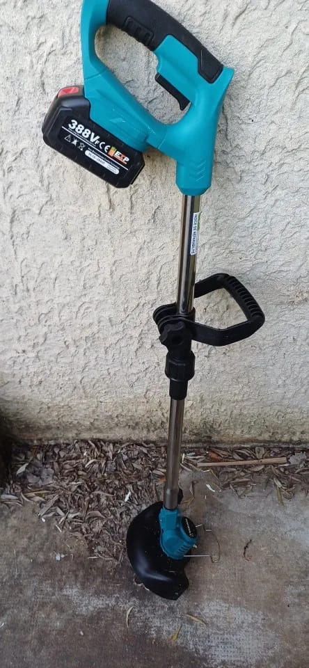 Customer photo review of Elektrischer Rasentrimmer 2-in-1
