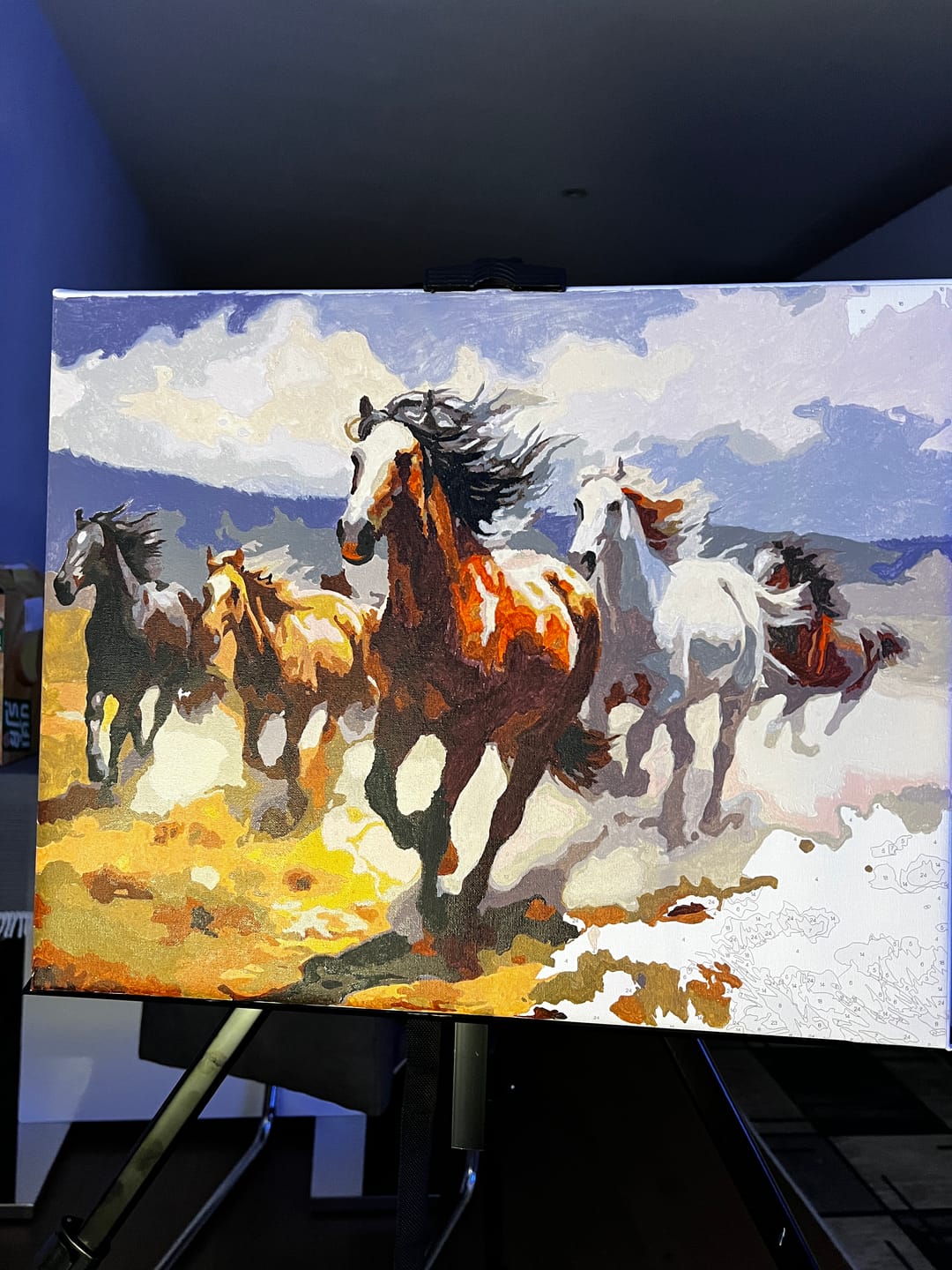 Customer photo review of Desert Horse Gallop