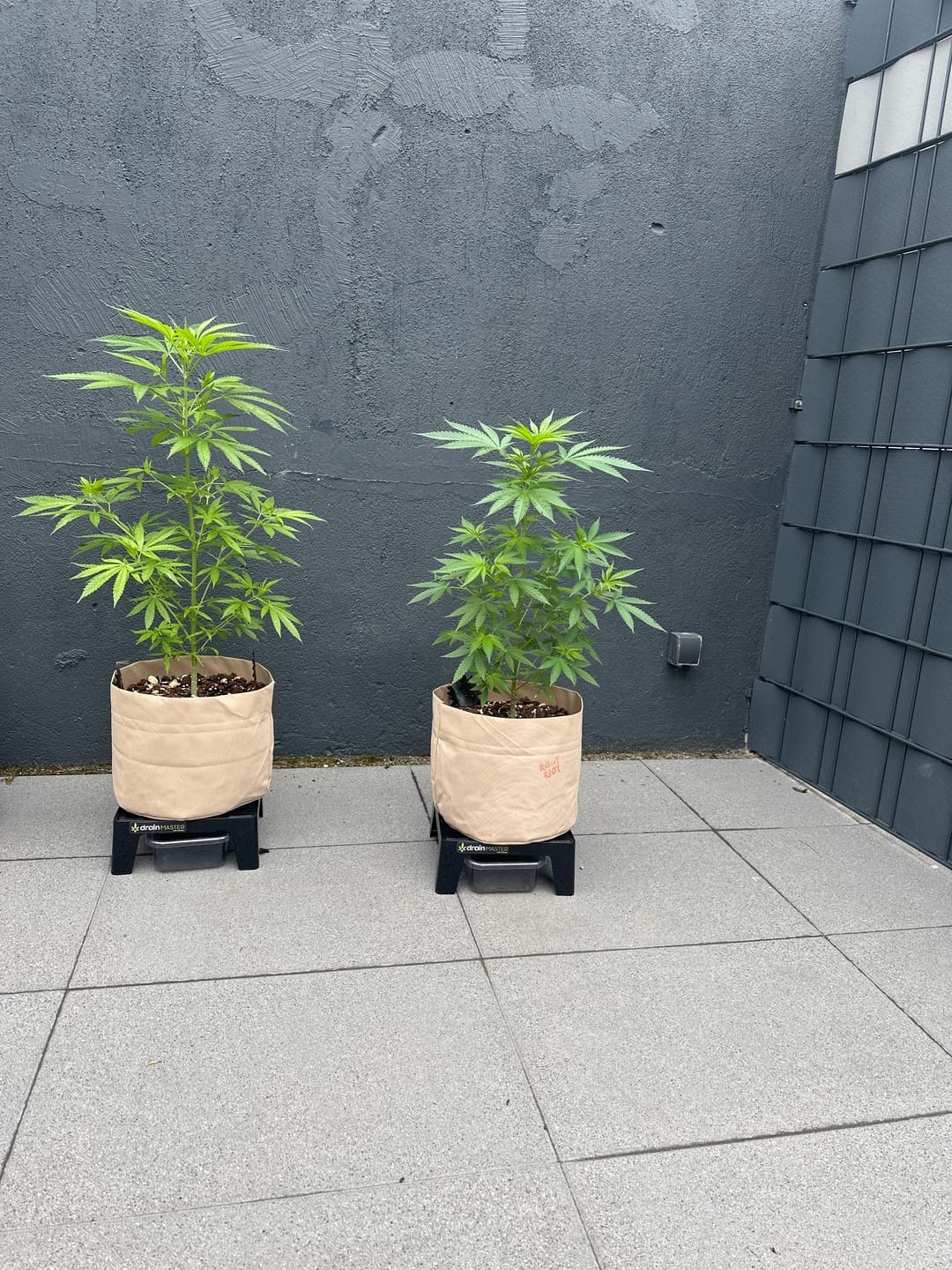 Customer photo review of Root Heaven Stoff Topf