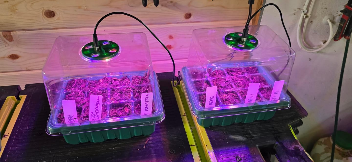 Customer photo review of GardenMate™ - Seed Starter Kit