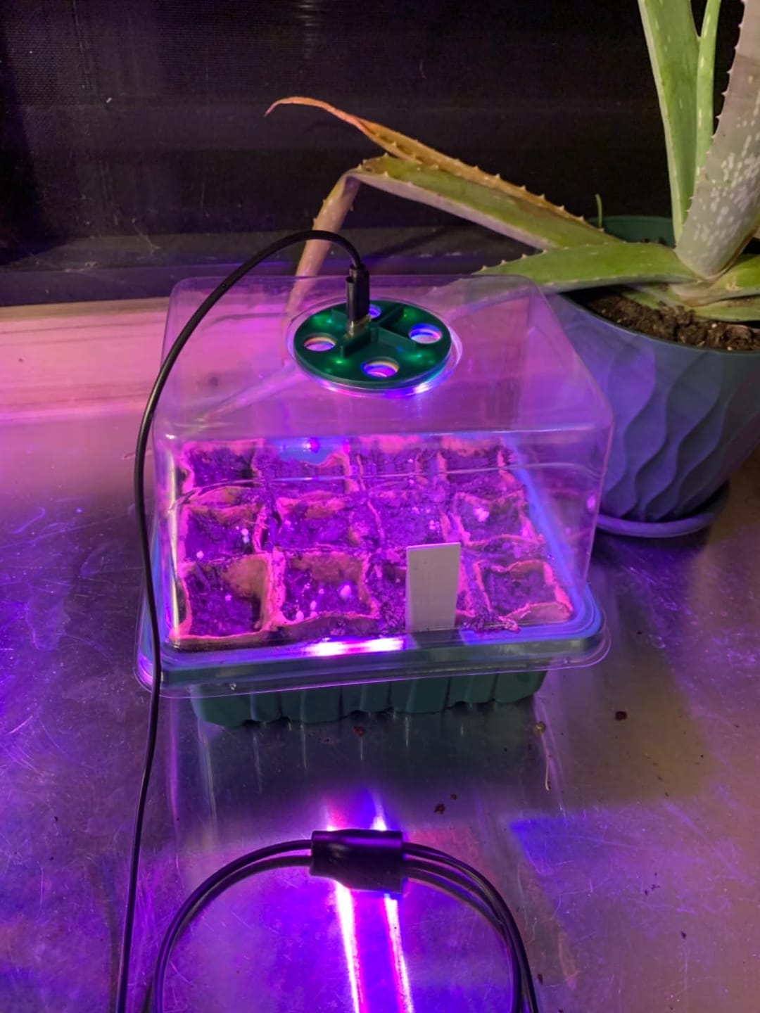 Customer photo review of GardenMate™ - Seed Starter Kit