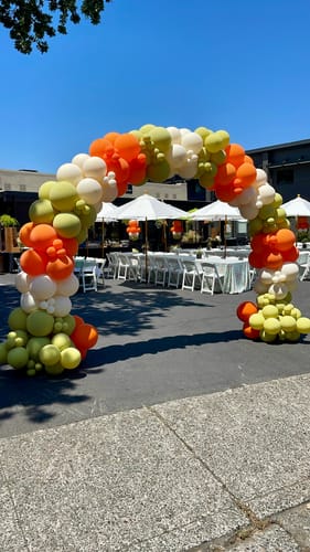 Customer photo review of 10x8 Ft Aluminum Balloon Arch Frame Wedding Arch Stand