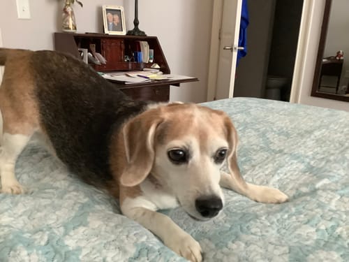 Customer photo review of DA-01™ Daily All-in-One Complete Care