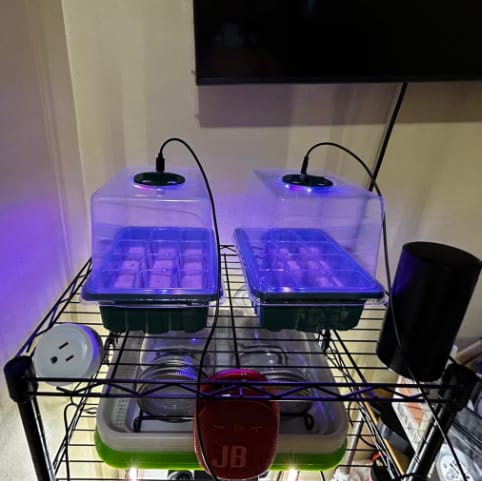 Customer photo review of GardenMate™ - Seed Starter Kit