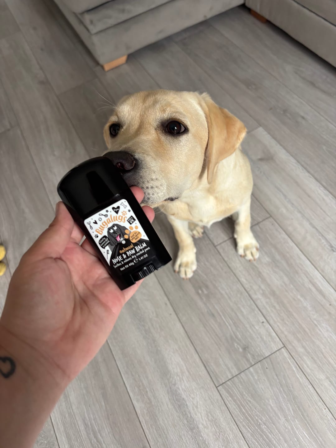 Customer photo review of Oatmeal Nose & Paw Balm Stick for Dogs