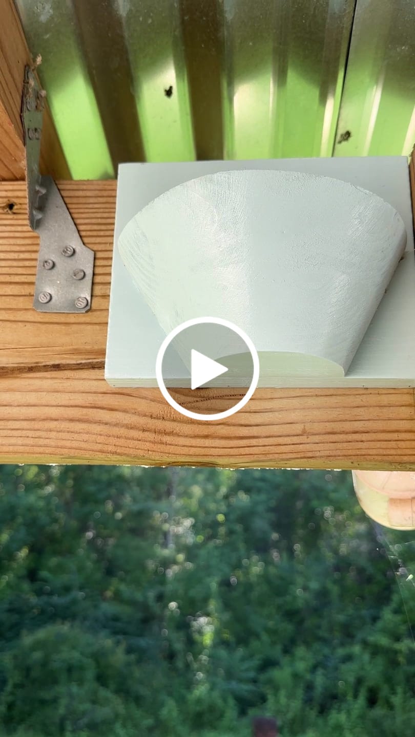 Customer video review of Barn Swallow Nest Cups - Set of 2