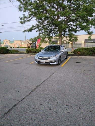 Customer photo review of Limlex® Detailing Cloth