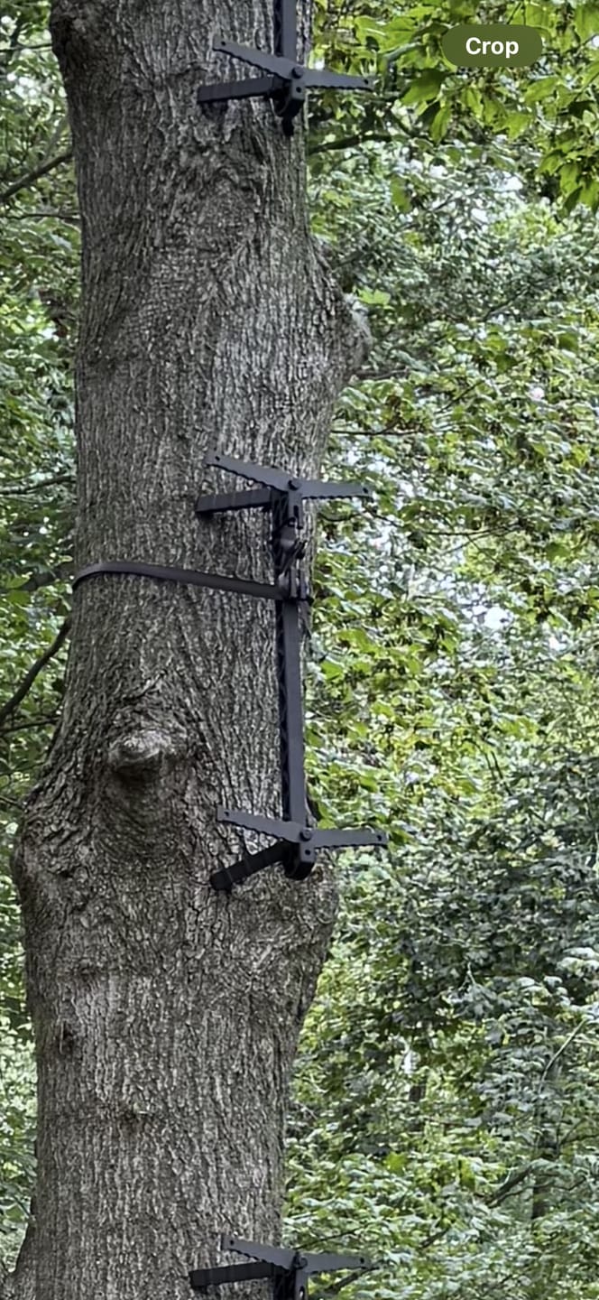 Customer photo review of COMPACT DOUBLE