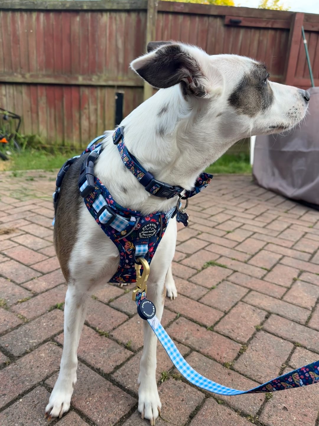 Customer photo review of Tough Trails™ Harness - Alice In Wonderland