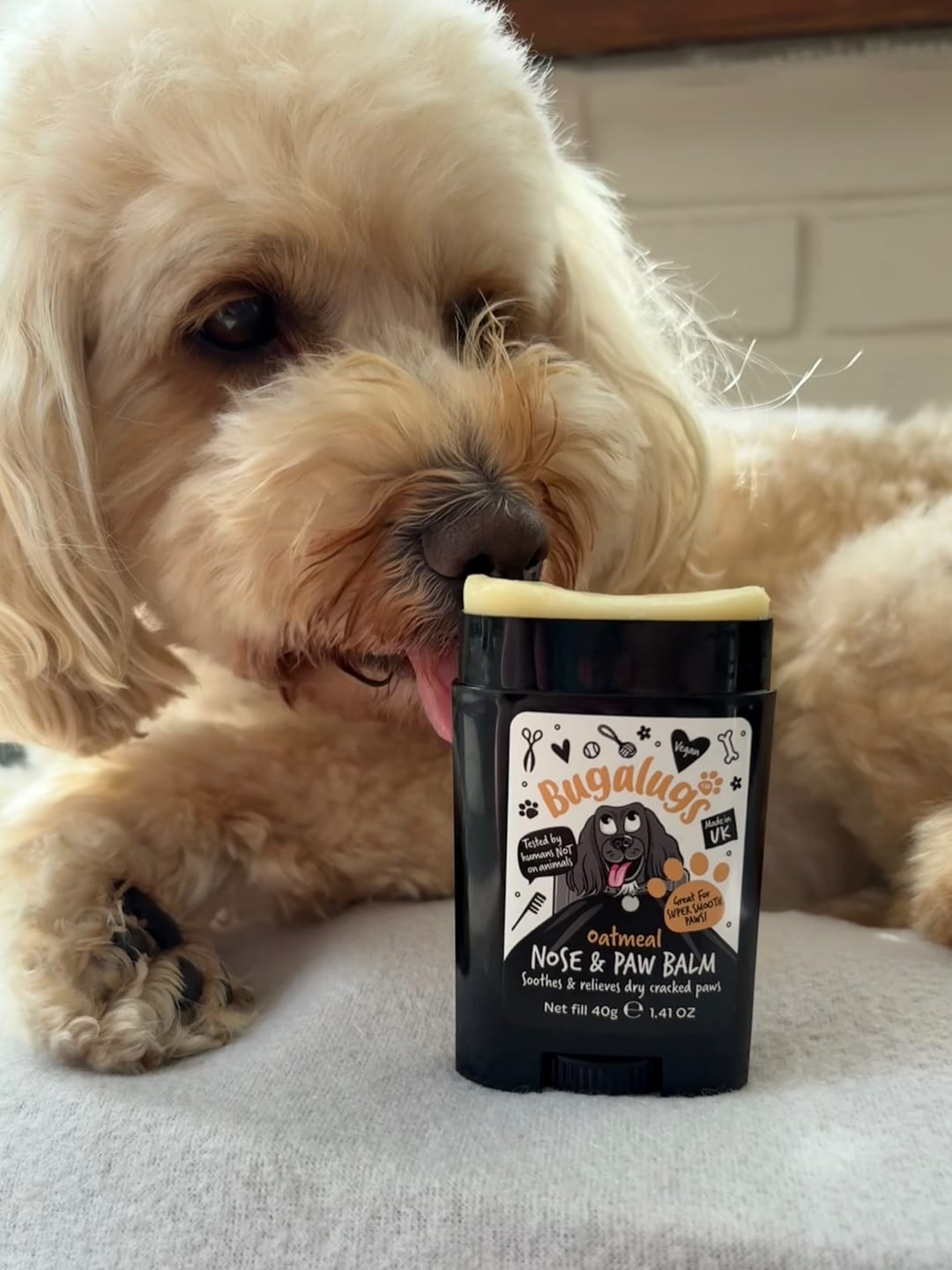 Customer photo review of Oatmeal Nose & Paw Balm Stick for Dogs