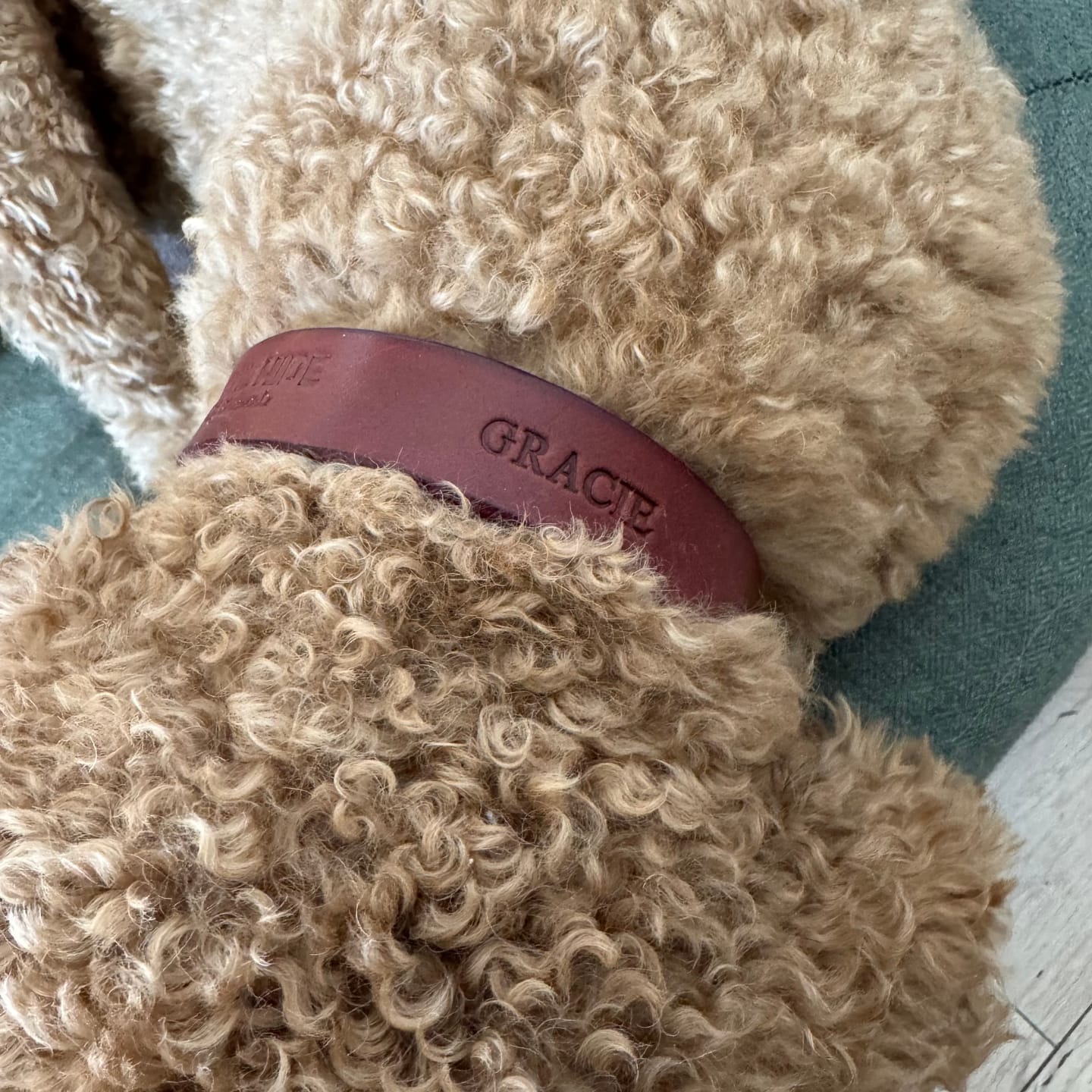 Customer photo review of Dog Collar