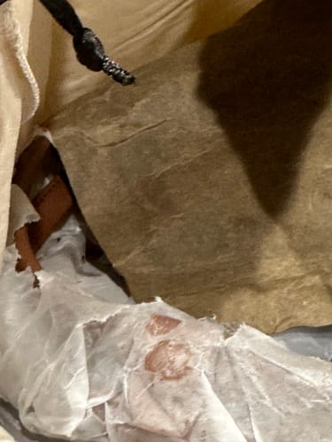 Customer photo review of Caroline Bag Pecan
