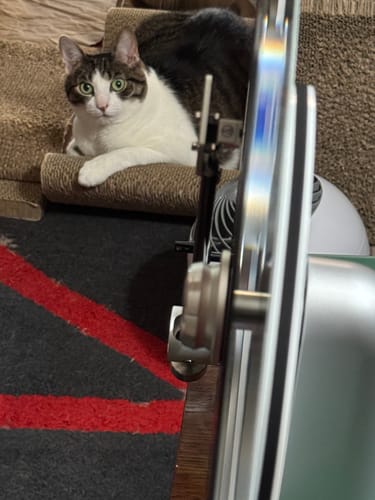 Customer photo review of VS-01 Bluetooth Vertical Turntable