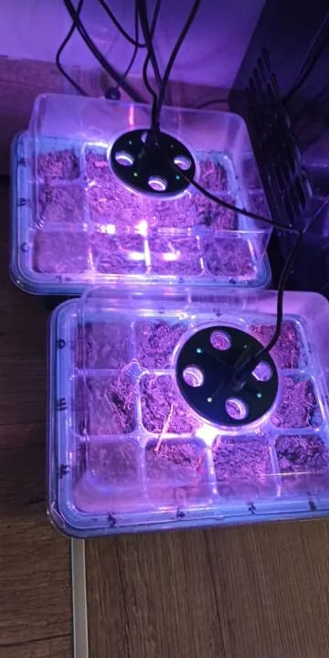 Customer photo review of GardenMate™ - Seed Starter Kit