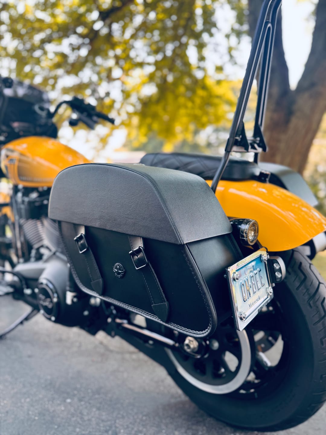 Customer photo review of 28L - Baelor Medium Quick Mount Motorcycle Saddlebags For Harley Softail Street Bob FXBB