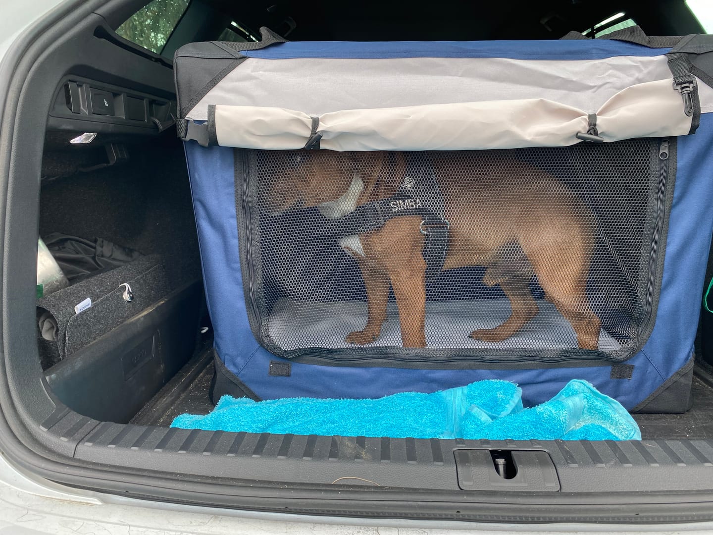 Customer photo review of Pawz Soft Pet Carrier Bag for Cats & Dogs