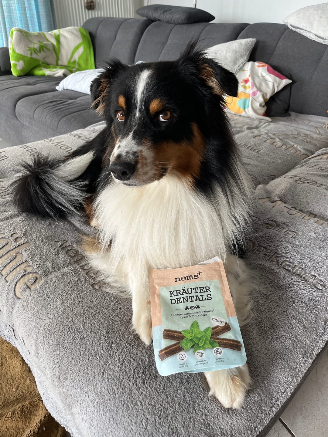 Customer photo review of Kräuter Dentals für Hunde zur Zahn- und Darmpflege (150g)