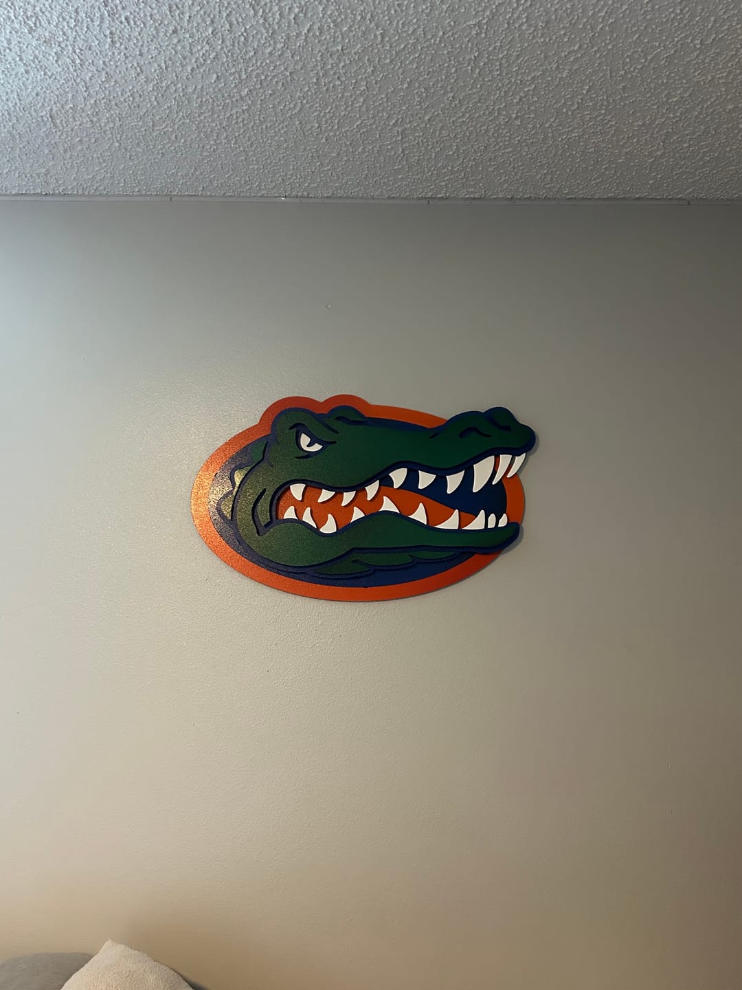 Customer photo review of Florida Gators "GATOR HEAD"  3D Vintage Metal Wall Art
