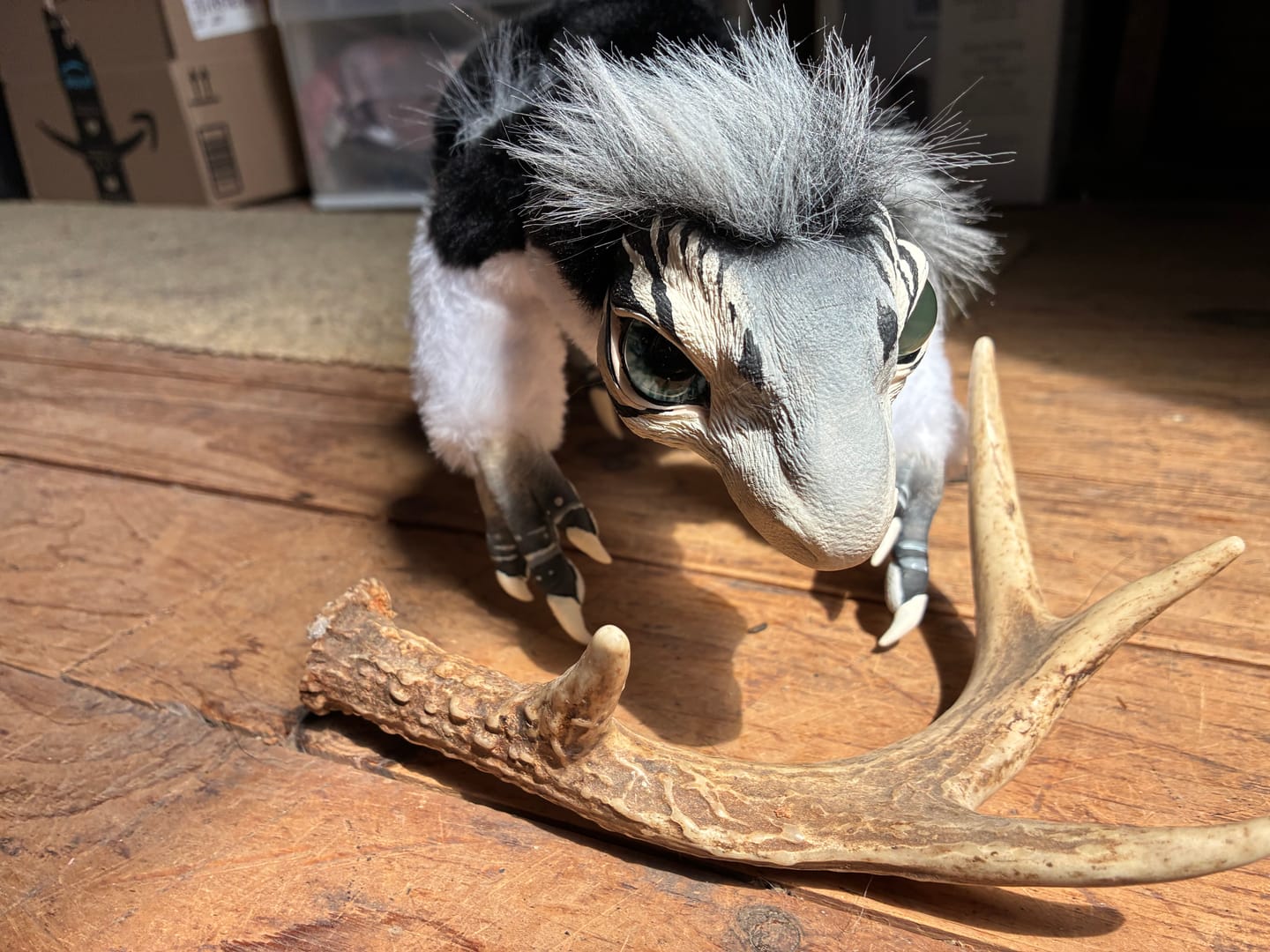 Customer photo review of Mercurian raptor - black and white