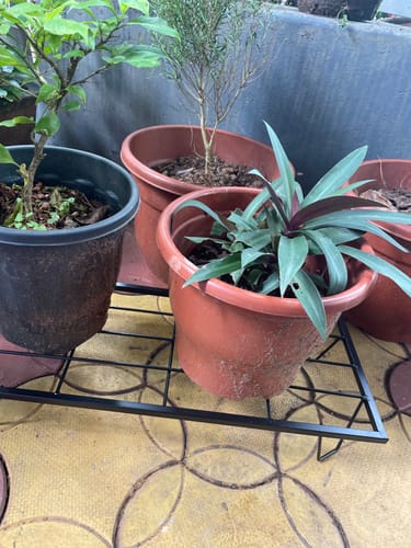 Customer photo review of United Crafts Indoor & Outdoor Rectangle Heavy Flower Pot Stand