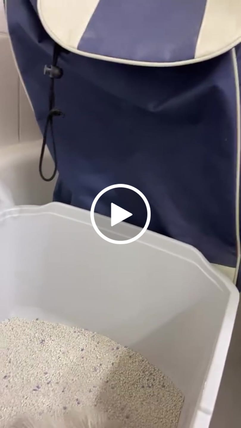 Customer video review of Arena Minino Aglutinante 20kg