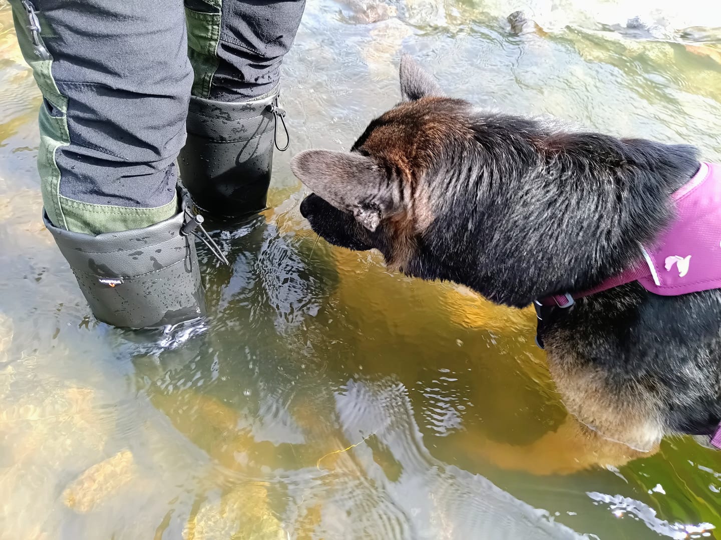 Customer photo review of Vaistoa Katve 2 | Rubber Barefoot Rain Boots