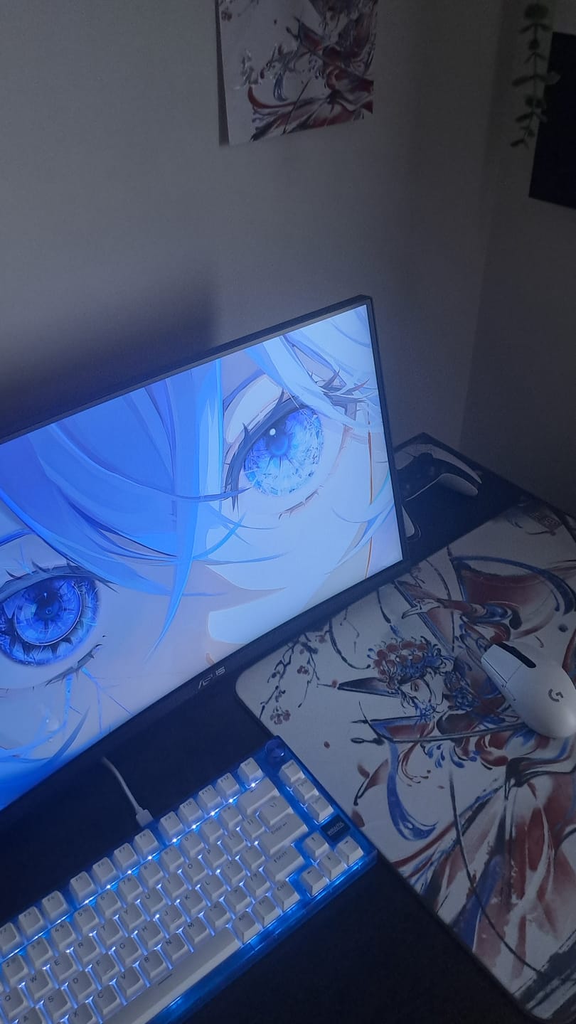Customer photo review of ESPTiger Pioneer Series Wu Xiang V2 Poron Mousepad