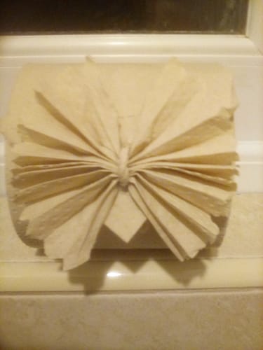 Customer photo review of Unbleached Bamboo Toilet Paper