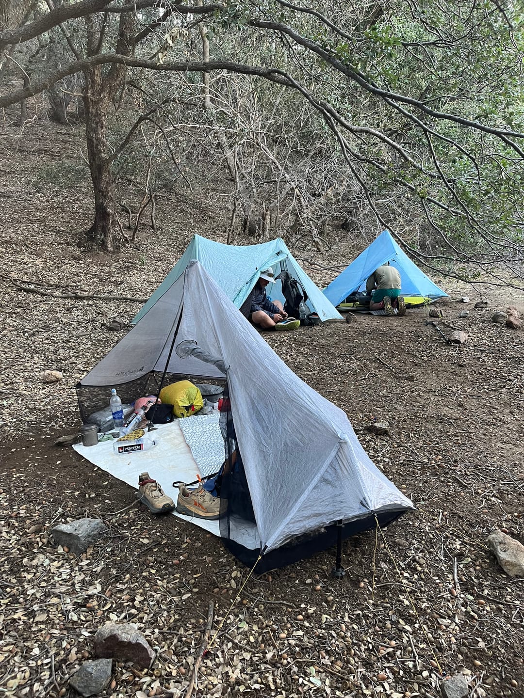 Customer photo review of The DCF Whisper