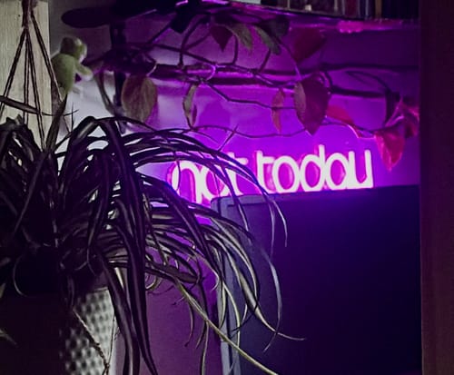 Aileen E. review of LED-Neon Schriftzug not  today image 1 out of 1