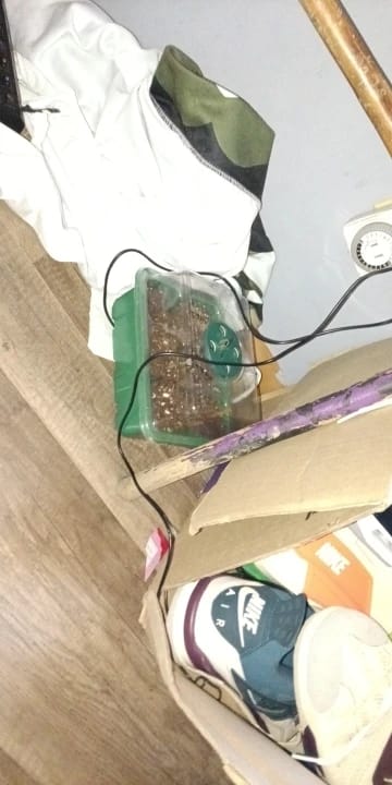 Customer photo review of GardenMate™ - Seed Starter Kit