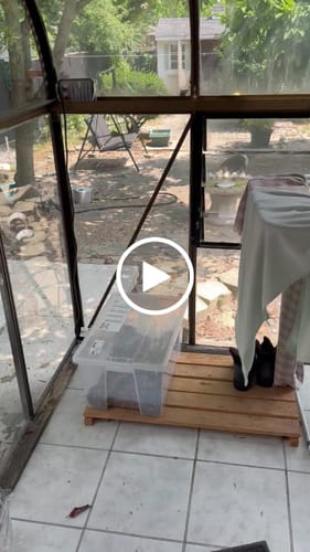 Customer video review of WagWellies® Mojave