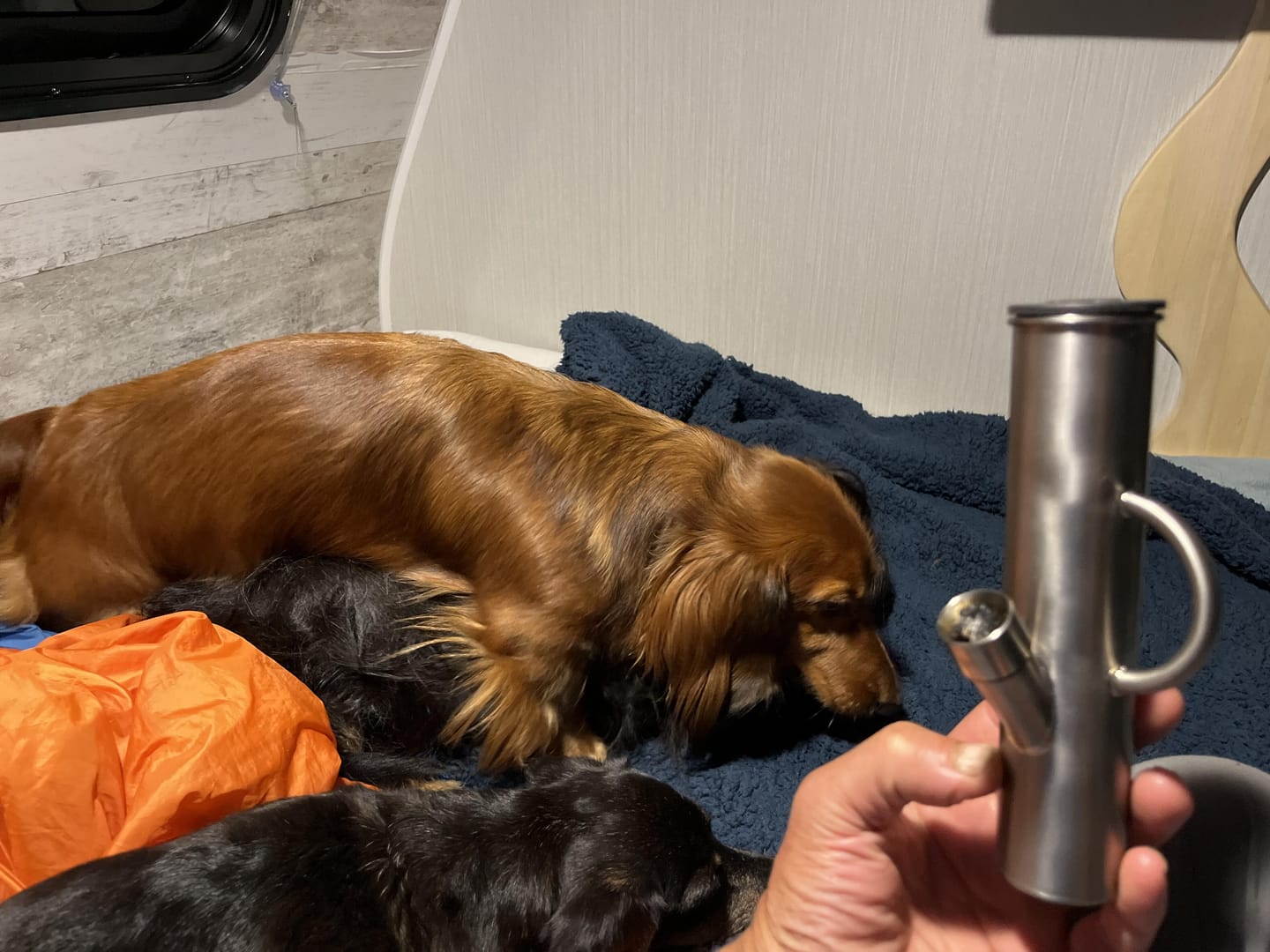 Customer photo review of DangleBong™️ Titanium Water Pipe
