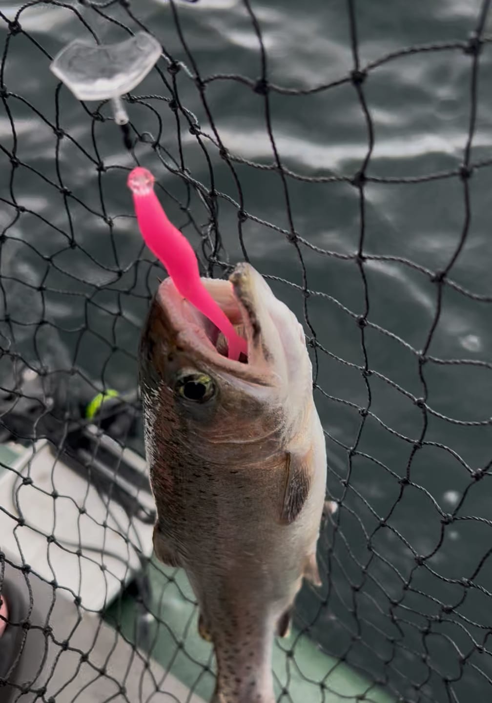 Customer photo review of Trout Trix Minnows - 5 pack