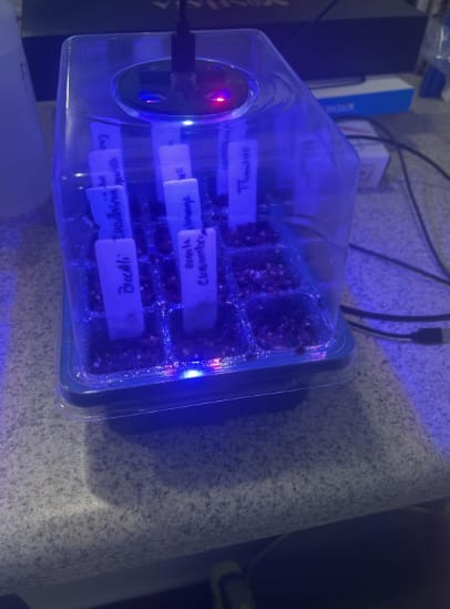 Customer photo review of GardenMate™ - Seed Starter Kit