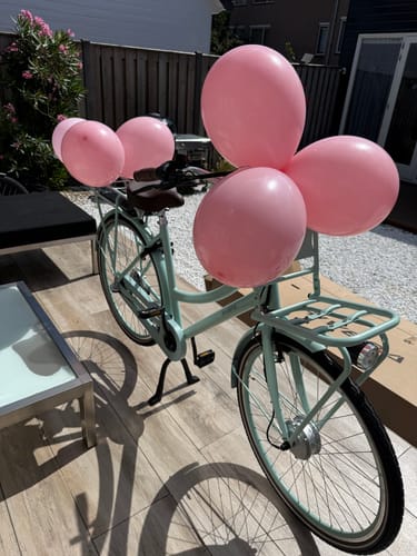 Customer photo review of E-Cargo N3