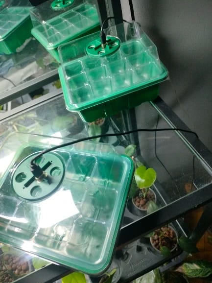Customer photo review of GardenMate™ - Seed Starter Kit