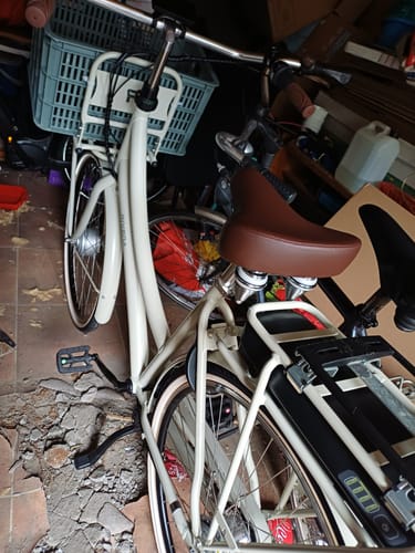 Customer photo review of E-Cargo N7