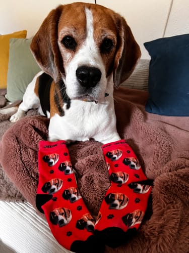 undefined review of Personalisierte Socken mit deinem Haustier image 1 out of 1