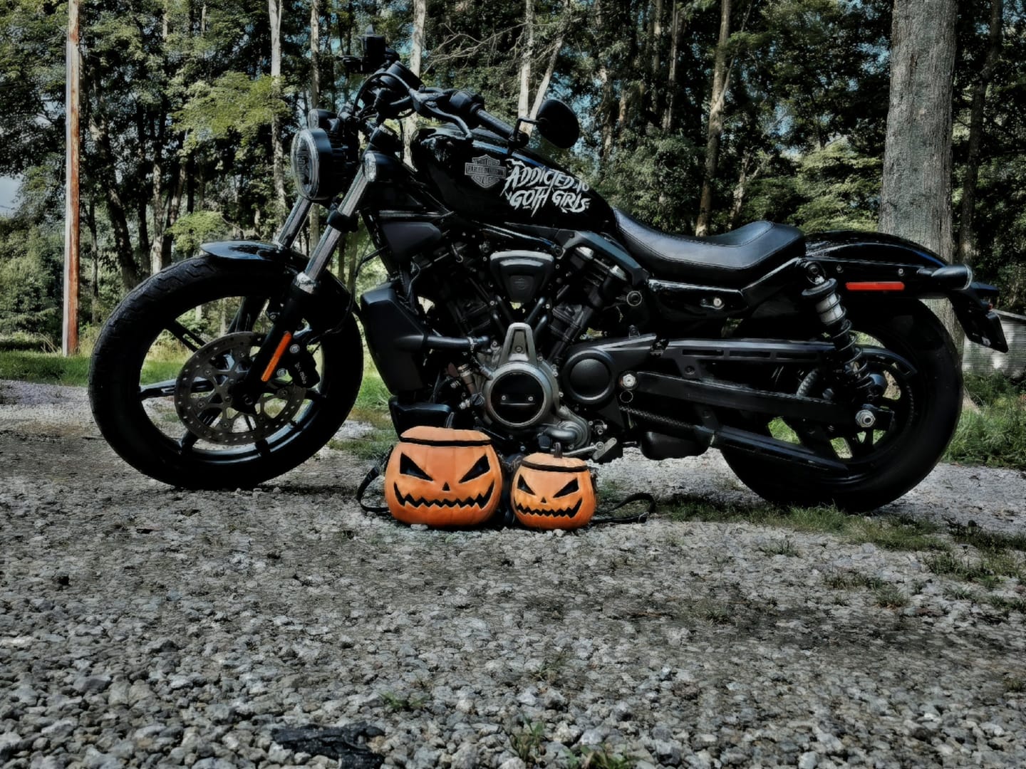 Customer photo review of Sleepy Hollow™ Pumpkin Bag