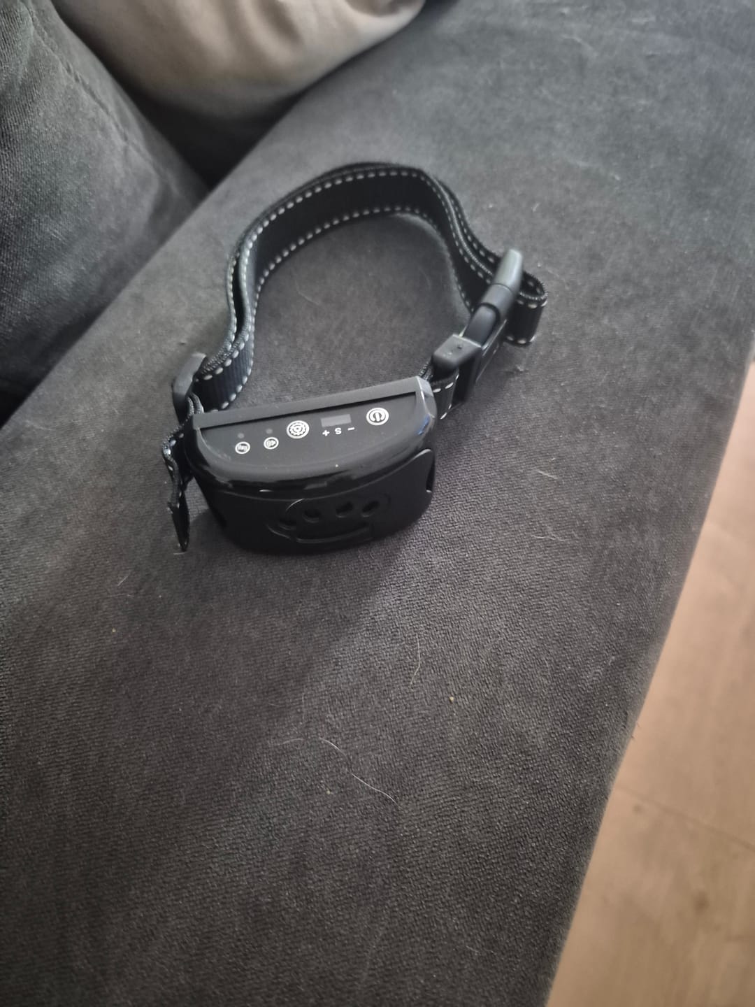 Customer photo review of Emmalove - Tierfreundliches Anti-Bell Halsband