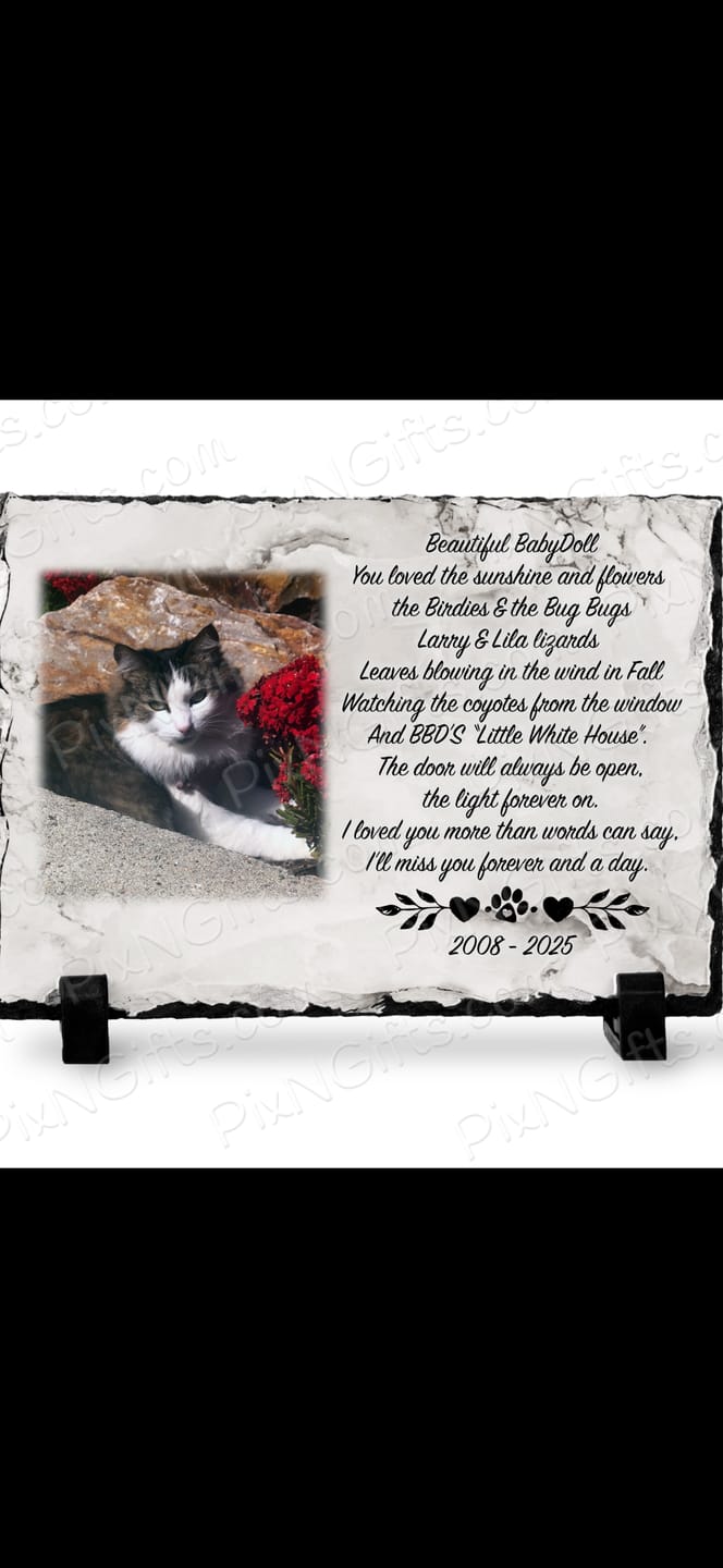 Customer photo review of Your Life Was A Blessing, Your Memory A Treasure