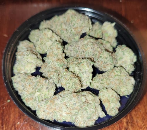 Customer photo review of Value Indoor Smalls